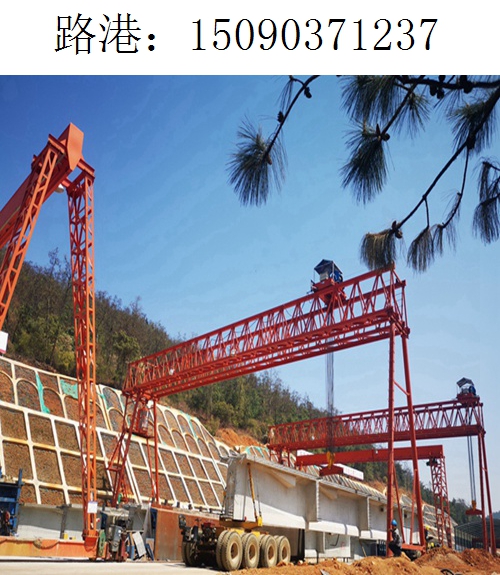 1237路港龙门吊(15)